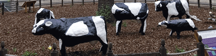 Milton Keynes Concrete Cows by Own Work